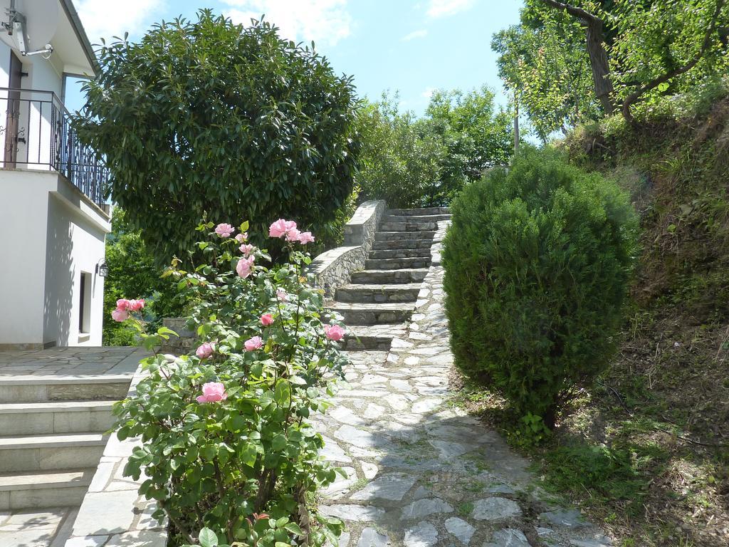 Villa Thea Makrirrákhi Exteriér fotografie