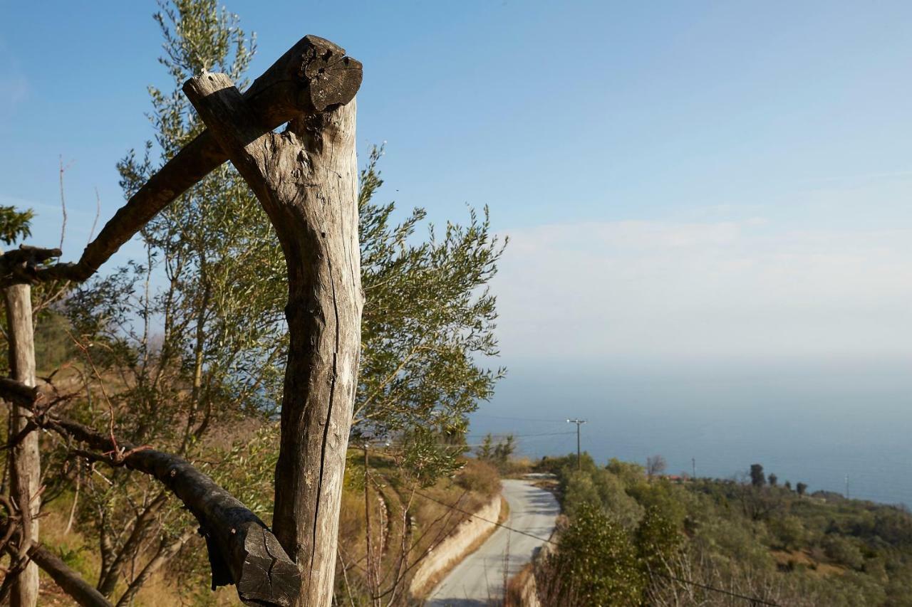 Villa Thea Makrirrákhi Exteriér fotografie